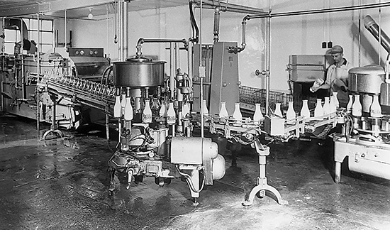 Assembly line of milk bottles